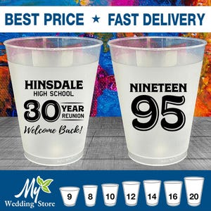 High School Reunion Frosted Cups, Class of 1995 Reunion, 30 Year Class Reunion Favors, College Reunion, Reunion Decorations | 140012