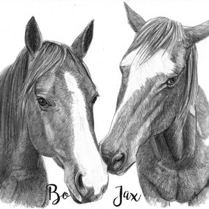 Custom Horse Portrait | Horse Drawing | Custom Horse Art | Horse Memorial Gift | Horse Portrait From Photo