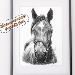 Custom Horse Portrait | Horse Memorial Gift | Pet Loss Gift | Horse Drawing | Horse Loss Gift | Gift For Horse Lover Wall Art