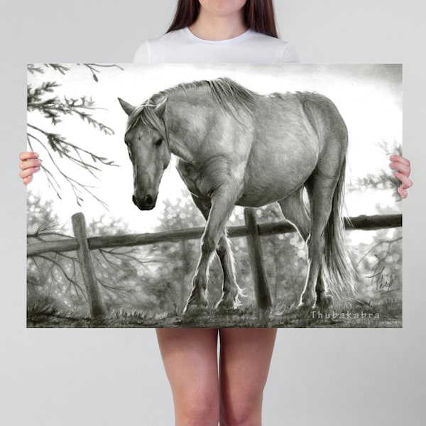 Horse Print | Black and White Pencil Drawing of Horse Art Print | Large Horse Pencil Art Printed on Paper | Photorealistic Pencil Art