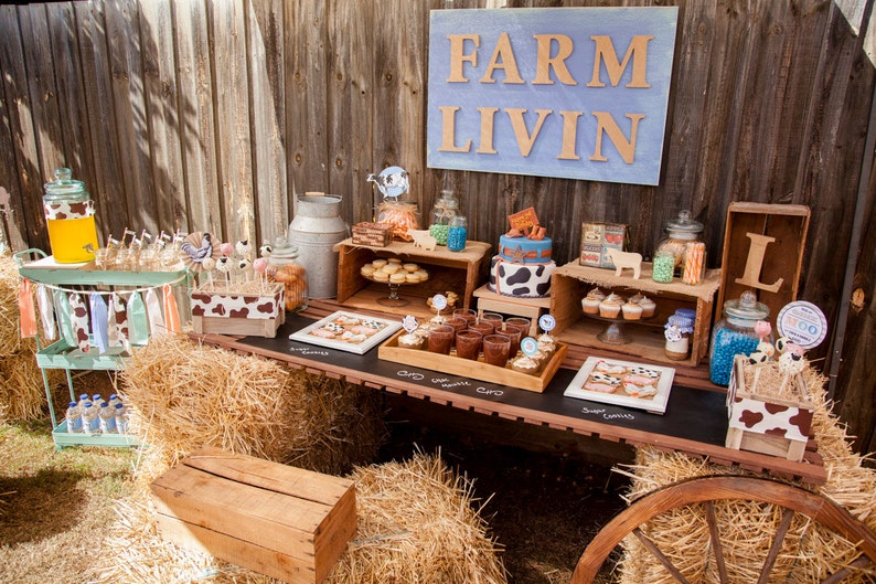 farm theme party costume ideas
