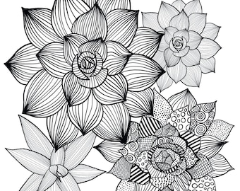 Hand Illustrated Succulents Coloring Page (Digital PDF Download)