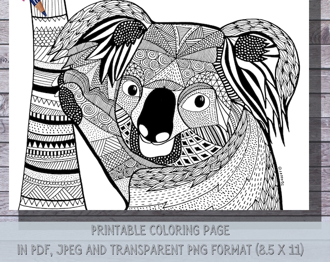 Koala Coloring Page PDF PNG and JPEG File Downloads - Etsy