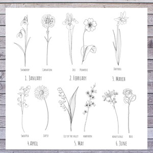 May include: A black and white line drawing illustration of flowers blooming throughout the year. The illustration shows the flowers for each month, starting with January and ending with June. The flowers are labeled with their names, such as snowdrop, carnation, iris, primrose, daffodil, sweetpea, daisy, lily of the valley, hawthorn, honeysuckle, and rose.