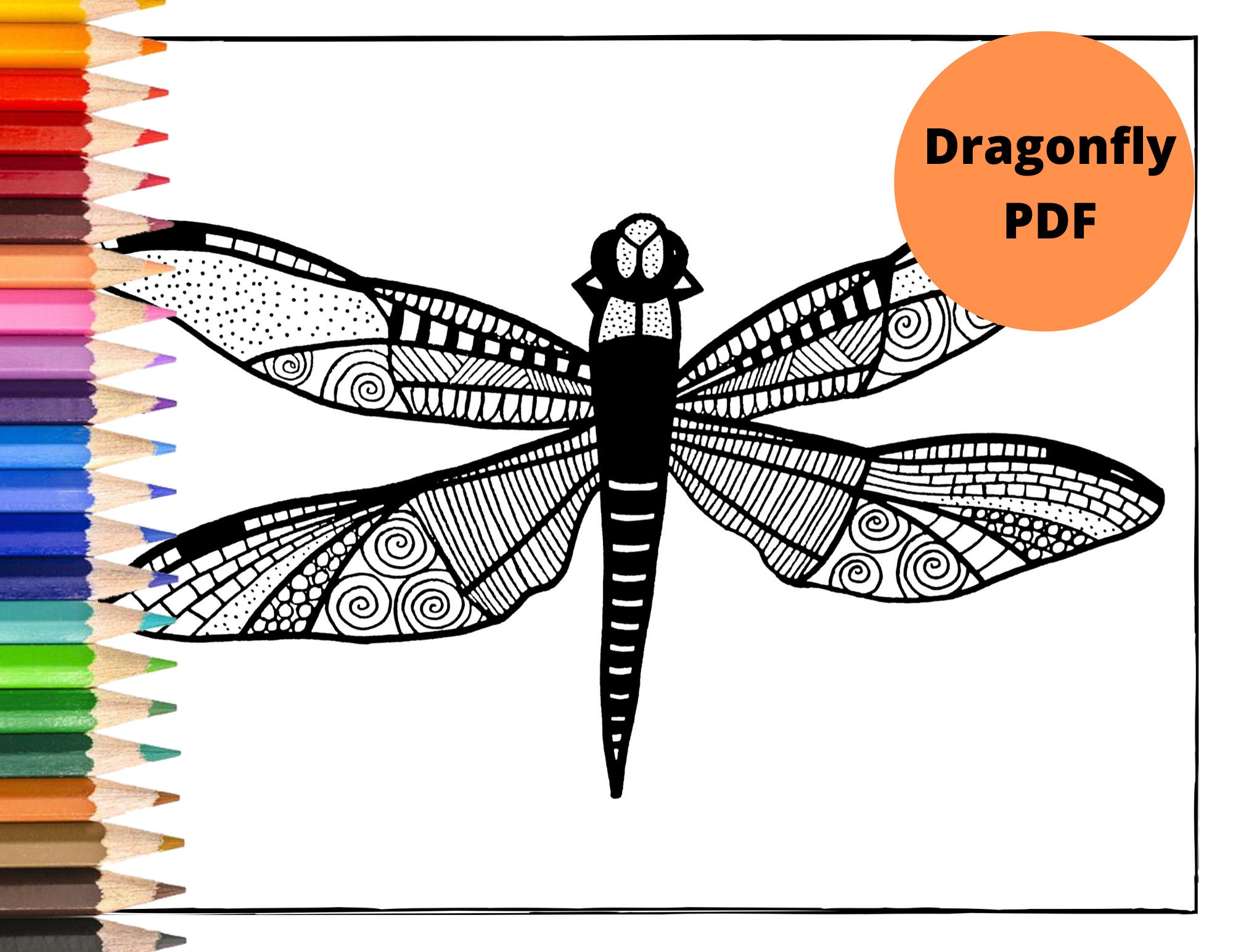 INSECT Coloring Pages PDF Download Coloring Book Printable | Etsy