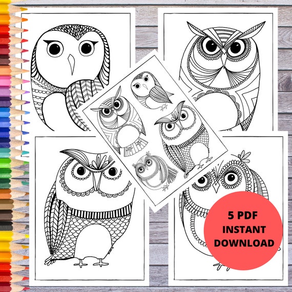 Printable Coloring Page Owl Coloring Pages  Digital Prints