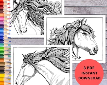 Horse Coloring Pages | Horse Illustrations | Horse Art Prints | PDF Download | Printable Coloring Page