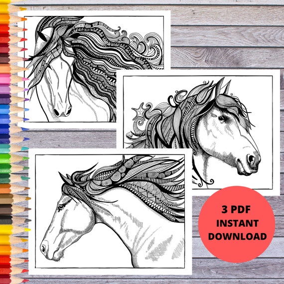 horse coloring pages horse illustrations horse art prints etsy