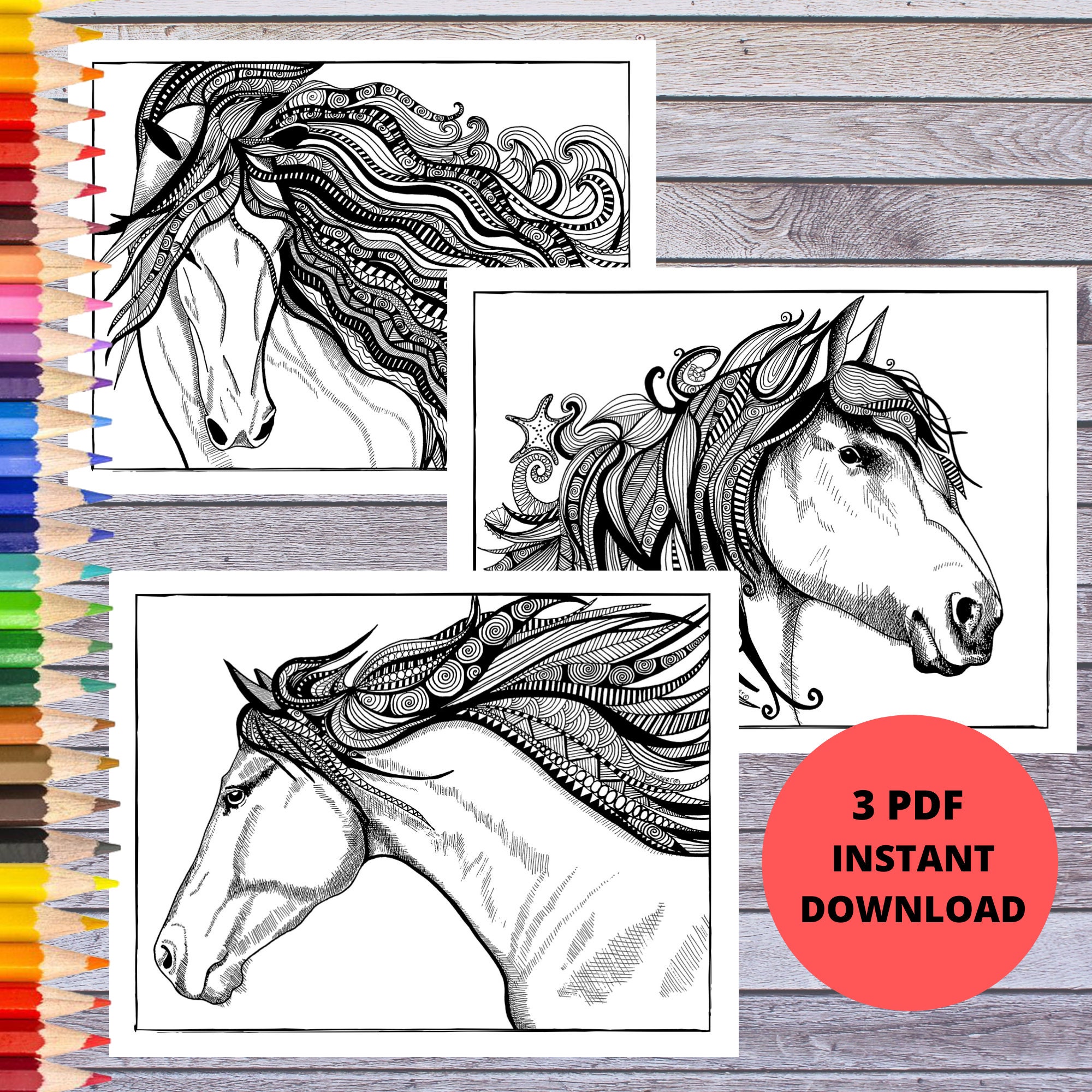 horse coloring pages horse illustrations horse art prints etsy
