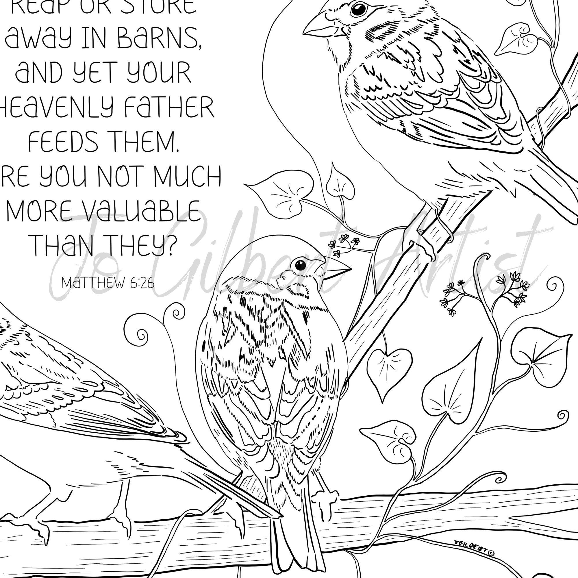 birds of the bible coloring pages