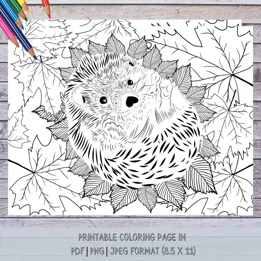 Sleepy Hedgehog Coloring Page | Instant Download | PDF, PNG, JPEG ...