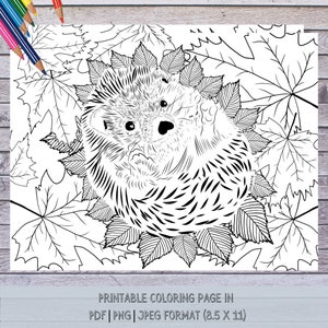 Coloriage hérisson endormi | Téléchargement instantané | PDF, PNG, JPEG | Animaux de la forêt illustrés à la main