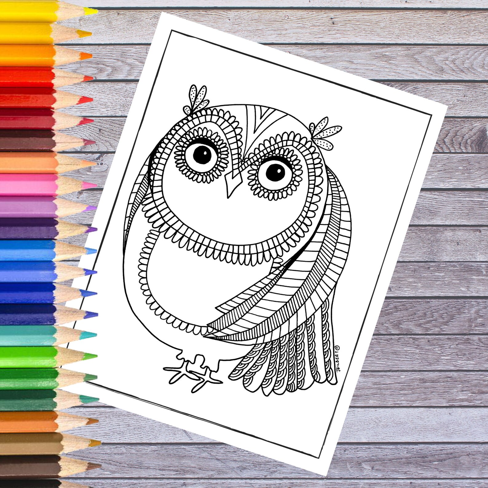 Printable Coloring Page Owl Coloring Pages Digital Prints - Etsy