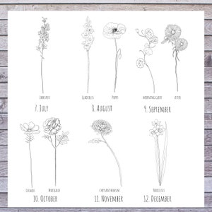 May include: A black and white line drawing illustration of 12 different flowers, each representing a month of the year. The flowers are labeled with their names and the corresponding month. The illustration is on a white background.