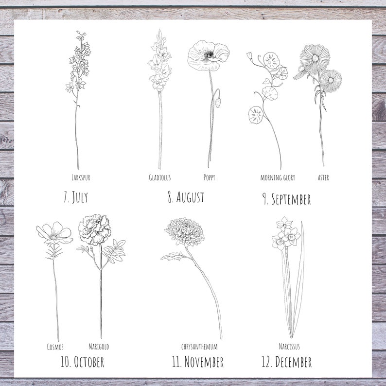 May include: A black and white line drawing illustration of 12 different flowers, each representing a month of the year. The flowers are labeled with their names and the corresponding month. The illustration is on a white background.