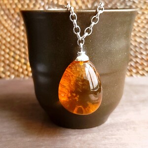 May include: A silver chain necklace with a teardrop-shaped pendant made of amber. The amber is a deep orange color and has a translucent quality.