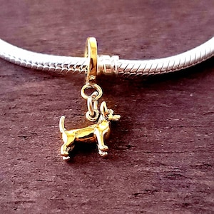 May include: Gold charm of a chihuahua dog, a popular breed of dog, hanging from a silver chain bracelet.