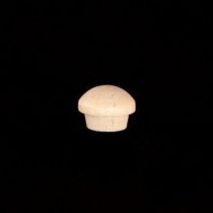 May include: A small, unfinished wooden knob with a rounded top and a cylindrical base.