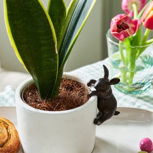 Può includere: Un vaso di ceramica bianco con una pianta serpente e una statuetta di coniglio in metallo nero attaccata al lato.