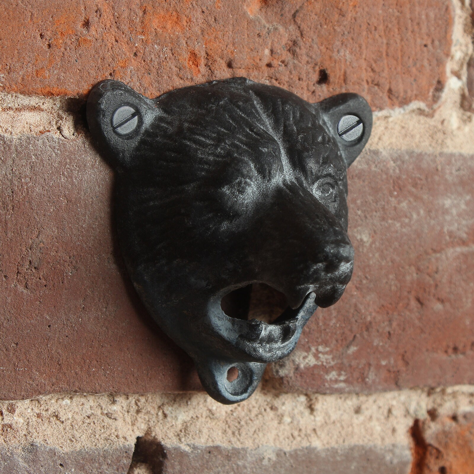 Ouvre-Bouteille de Bière Mural en Fonte d'ours | Papa Homme Des Cavernes Hommes Mariage 6Ème Anniver