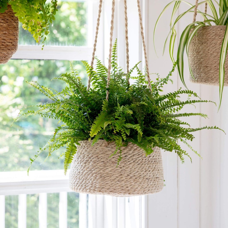 Hanging plant pots Jute indoor plants rope hanging bathroom bedroom kitchen ceiling herb natural planters Tapered