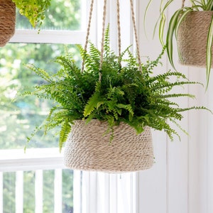 Pots de plantes suspendus Corde de plantes d'intérieur en jute suspendue au plafond de la cuisine de la chambre à coucher de la salle de bain Jardinières naturelles d'herbes aromatiques image 3