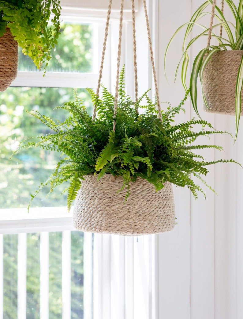 Hanging plant pots Jute indoor plants rope hanging bathroom bedroom kitchen ceiling herb natural planters image 3