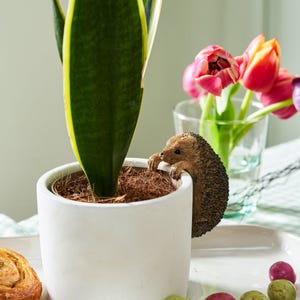 May include: A white ceramic planter with a brown and black hedgehog figurine peeking out of the top. The planter is filled with green snake plant and brown soil.