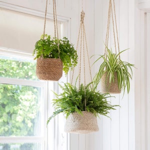 Pots de plantes suspendus Corde de plantes d'intérieur en jute suspendue au plafond de la cuisine de la chambre à coucher de la salle de bain Jardinières naturelles d'herbes aromatiques image 7