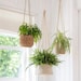 Hanging plant pots - Jute indoor plants rope hanging bathroom bedroom kitchen - herb natural planters 