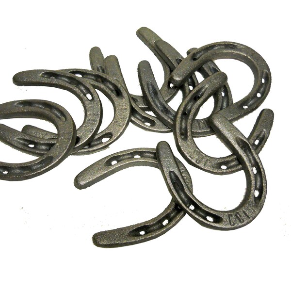 20 pc Cast Iron Pony Horseshoes for Decorating and Crafts 3 1/2" x 3"