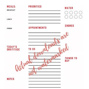 May include: A white planner page with red text and black lines. The title "Today's Plan" is at the top. Sections include "Meals," "Priorities," "Appointments," "To Do," and "Things to Buy."