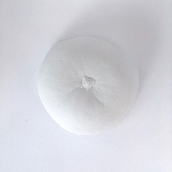 Tigela de porcelana para frutas cítricas