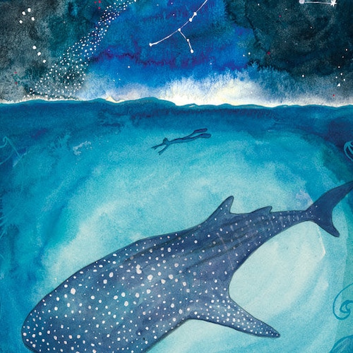 8x10 Print Madonna of the Woods - Etsy