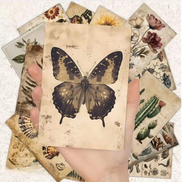 Notecards - Etsy