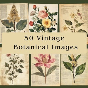 Art mural botanique sur le thème des plantes Style vintage fleurs Illustration tirages Téléchargement instantané Journal indésirable imprimable Collage papier technique mixte