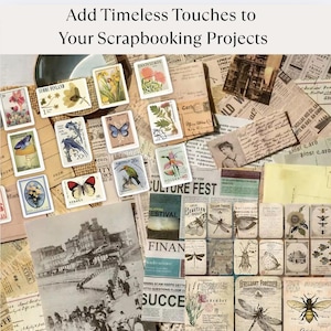 Scrapbooking Kit vintage page for scrapbooking ephemeral Old book page and illustration Naturalist Paper Botanical Stickers gift for crafter