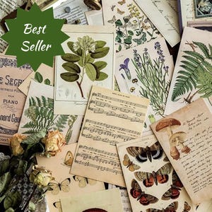 Lot de cartes postales Cartes postales nature inutilisées Assortiment d'impressions de la nature Cartes postales de style vintage Cartes postales de scrapbooking nature Collage Art