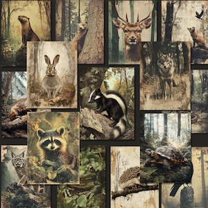 Colección de imágenes prediseñadas de vida silvestre Colección de animales del bosque de estilo vintage Paquete SVG Descarga digital Decoración del hogar vintage Arte de pared de naturaleza rústica