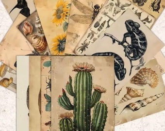 Vintage Naturalist Postcards Set Botanical Ephemera for Scrapbooking Junk Journal Eclectic Vintage Style Postcard Set Naturalist Ephemera