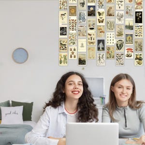 Natur-Themen Blanko-Karten-Sammlung 50 Vintage-Stil Pflanze und Tier Wand Kunst Wohnheim Raum Dekor Wissenschaft Kunst Postkarte Ephemera Bundle