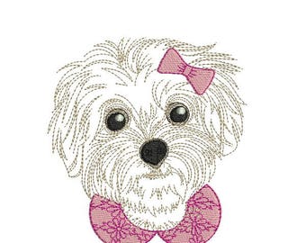 Instant download machine applique  embroidery Bichon maltese dog