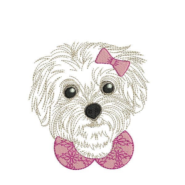 Instant download machine applique  embroidery Bichon maltese dog