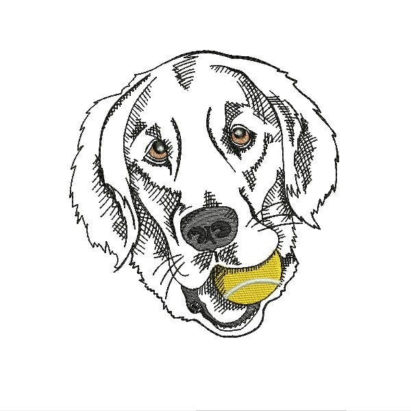 Machine Embroidery Designs Golden Retriever - Etsy