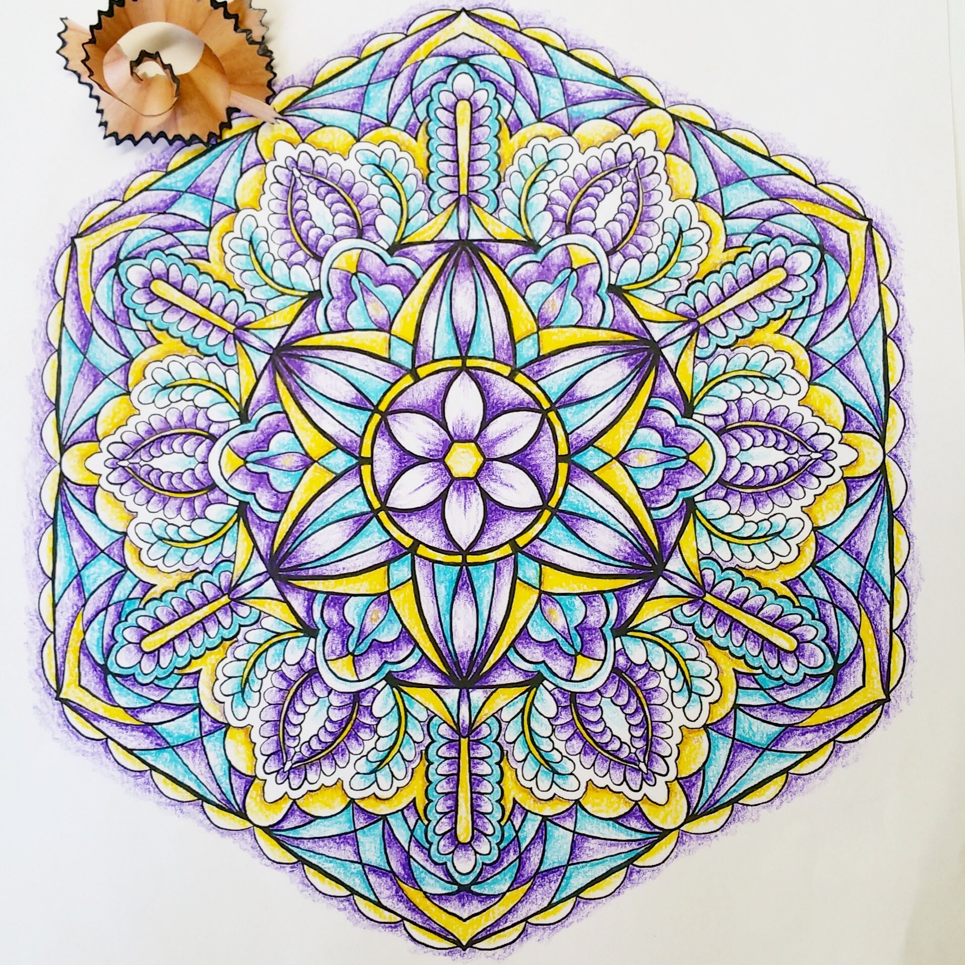Adult Coloring Books: Mandalas: A Coloring Book for Adults Featuring  Beautiful Flowers in Mandala Designs for Relaxation and Meditation: Club of  Coloring Books: 9781730755729: : Books