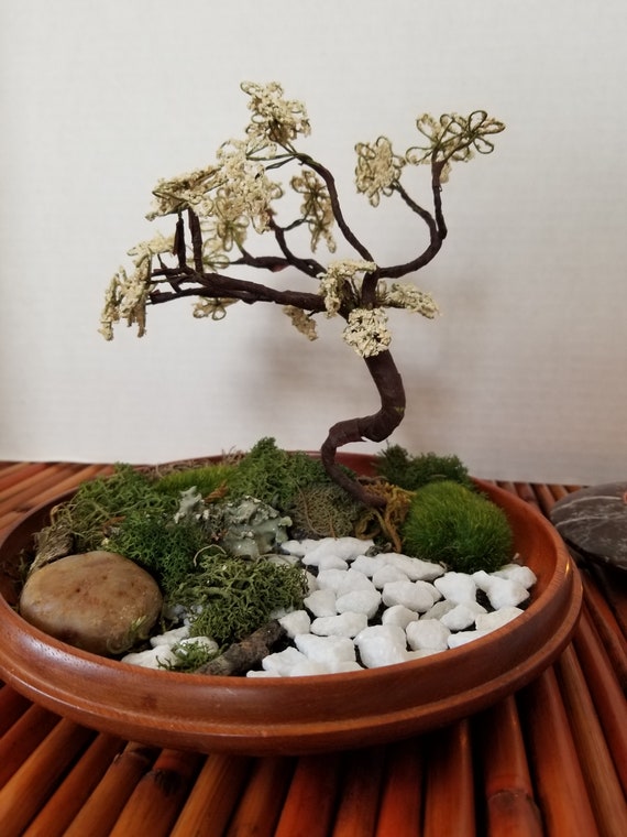 Zen Tabletop Garden Bonsai Style Rocks and Moss Indoor Garden