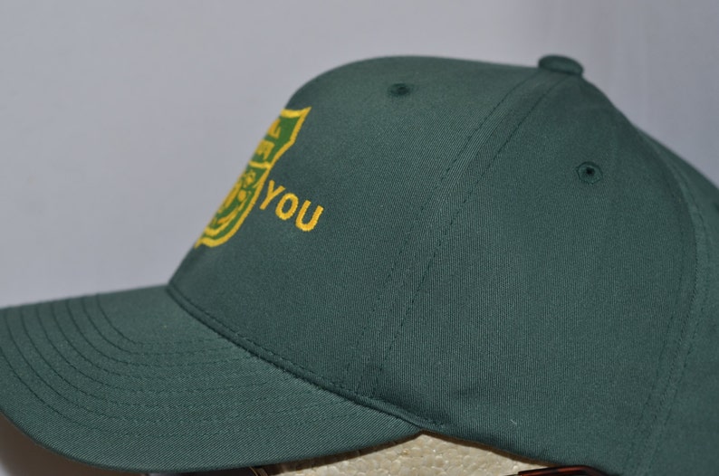 only you smokey bear hat