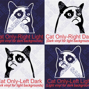 Grumpy Cat Hates... Die Cut Vinyl Decal Sticker image 3