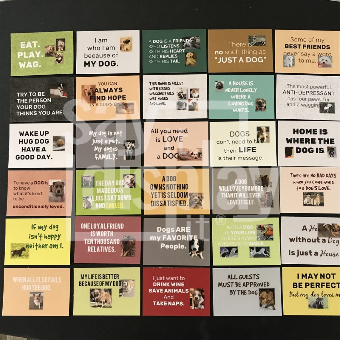 Dog Quotes Dog Gift Dog Cards Pet Quotes Pet Sayings Dog  Etsy UK