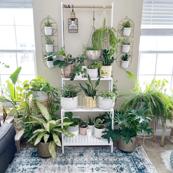 DIY planter shelf (step by step)